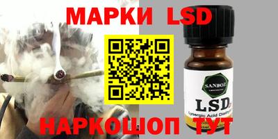прущие грибы Можга