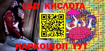 прущие грибы Можга