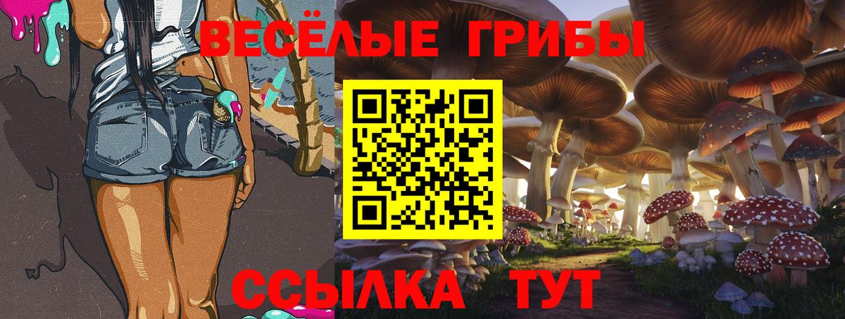 Псилоцибиновые грибы GOLDEN TEACHER  Вход с VPN  Чехов 