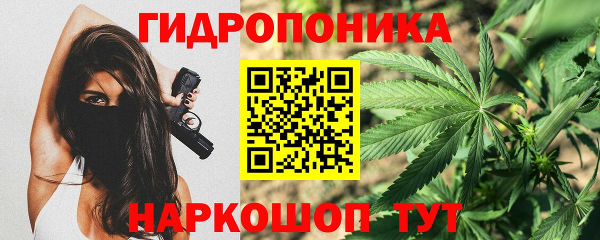 Бошки Шишки VHQ Чехов